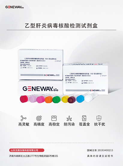 乙型肝炎病毒核酸檢測(cè)試劑盒